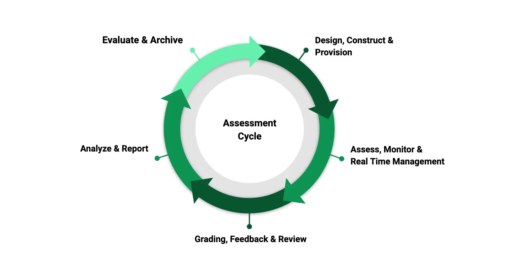 Graphic of the Grasple assessment cycle